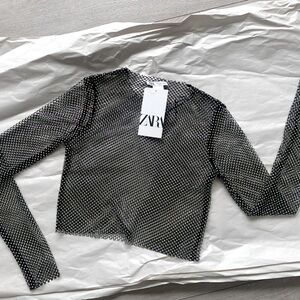 NWT Zara Shimmer Mesh Crop Top